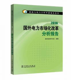 能源与电力分析年度报告系列 2016中国新能源发电分析报告