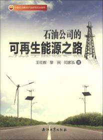 中国西北地区环境与发展研究报告(2020)