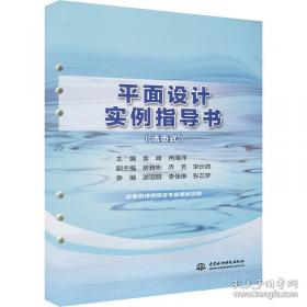 平面设计师从业资格培训教程