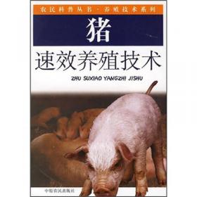 图说提高猪繁殖成活率关键技术