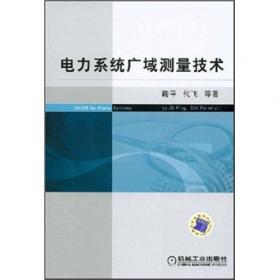 现代电力系统控制与辨识/现代电力系统丛书