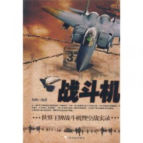 军事系列图书·战斗机：世界王牌战斗机暨空战实录