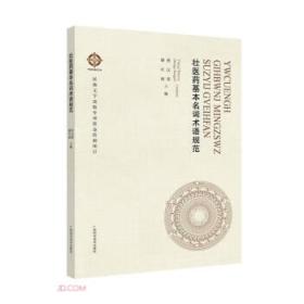 中国壮医药丛书：中国壮医学