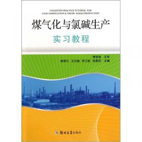 煤气净化技术/煤清洁转化新技术丛书