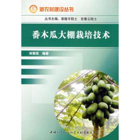 番木瓜 黄皮 枇杷 杨桃生产实用技术