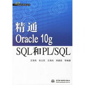 Oracle10g数据库Java开发