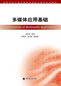 数据库技术及应用：Access 2010（第2版）/高等学校计算机基础课程多元教学系列教材