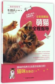 我的宠物书：人气猫咪养成计