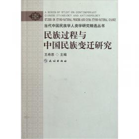 中国少数民族语言文字研究（一）