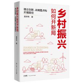 从脱贫迈向振兴——中国乡村减贫发展30年的实践与思考