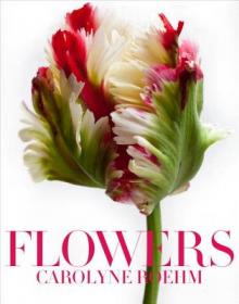 Flowers for the Home: Inspirations from the Worl