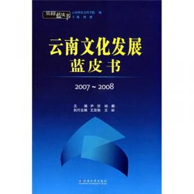 2008-2009云南文化产业发展报告