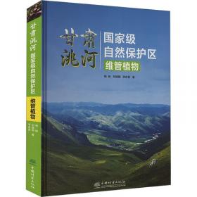 甘肃省人口健康信息平台建设及应用指导手册