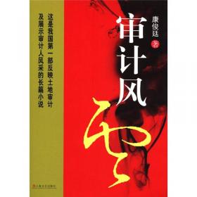 审计使命（生动再现审计人“为国审，为民计”的担当意识与家国情怀）