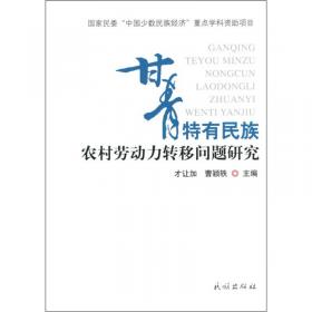 甘青藏族现代教育发展研究