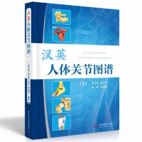 汉英翻译精讲：学习手册/大学英语能力突破系列数字课程