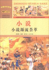 中国文化百科 灿烂文学 经典：著名古典小说（彩图版）