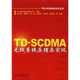 TD-SCDMA无线网络规划设计与优化（第3版）