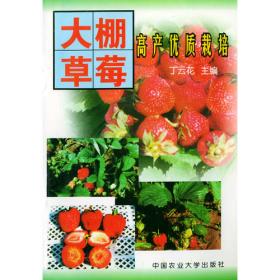大棚草莓实用栽培技术