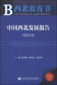 中国西北发展报告（2017）
