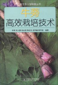 跟王乐义学种菜丛书：大葱洋葱高效栽培技术
