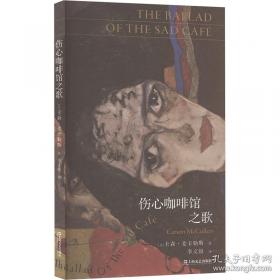 学会用技术解决问题：一个建构主义者的视角