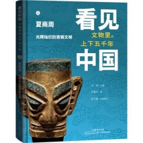 看见梵高：孤独与伟大（写给大家的360度艺术启蒙书）