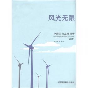 2008中国风电发展报告
