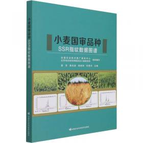 小麦绿色高产栽培理论技术体系与实践 