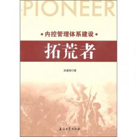 内控总监工作笔记 企业内部控制工作法及案例解析