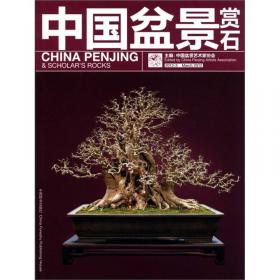 中国盆景赏石（2013-8）
