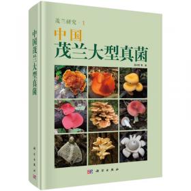 中国海南岛大型真菌