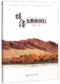 援疆干部（王蒙推荐阅读、国内首部讲述的援疆故事，描绘了新疆壮美的风光、浓郁的民族风情和丰富的历史文化）