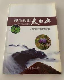 神奇的镜子冥想：拥抱你内心的小孩