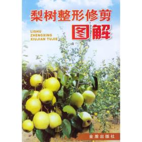 梨树高产栽培——全国星火计划丛书
