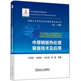 微合金钢连铸板坯表面裂纹控制/钢铁工业协同创新关键共性技术丛书
