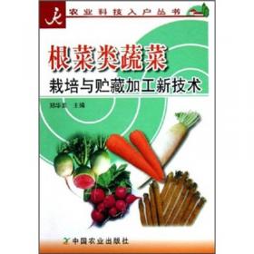 根菜类精品蔬菜——精品蔬菜生产技术丛书