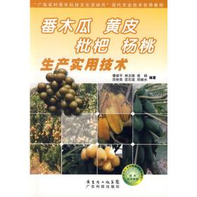 板栗 梨生产实用技术--广东“农家书屋”系列