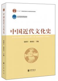 中国文化史学的历史与理论（文化史丛书）