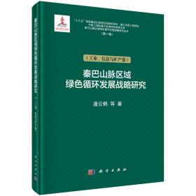 大数据产业发展总体战略研究(工程科技发展战略研究丛书)