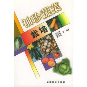 彩色蔬菜栽培