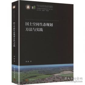 国土空间规划背景下的交通大数据分析技术