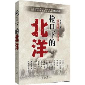 枪口下的法律：中国版权史研究