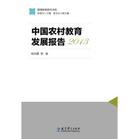 中国农村教育发展报告2010-2020
