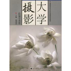 中国影像史·第四卷（1911-1919）
