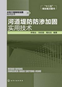 水利工程除险加固技术丛书：水闸工程除险加固技术