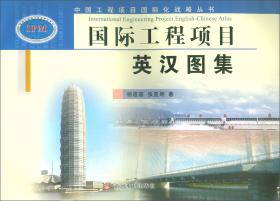 中国工程项目国际化战略丛书：国际工程常用学科英汉词典