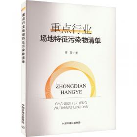 重点难点解题手册——初中化学