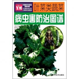 叶菜类菜肴精选——家庭蔬菜烹饪丛书