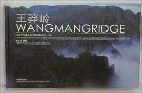 王莽：儒家理想的信徒